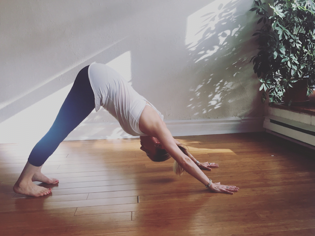 Forward Bends Jivamukti Yoga Poses