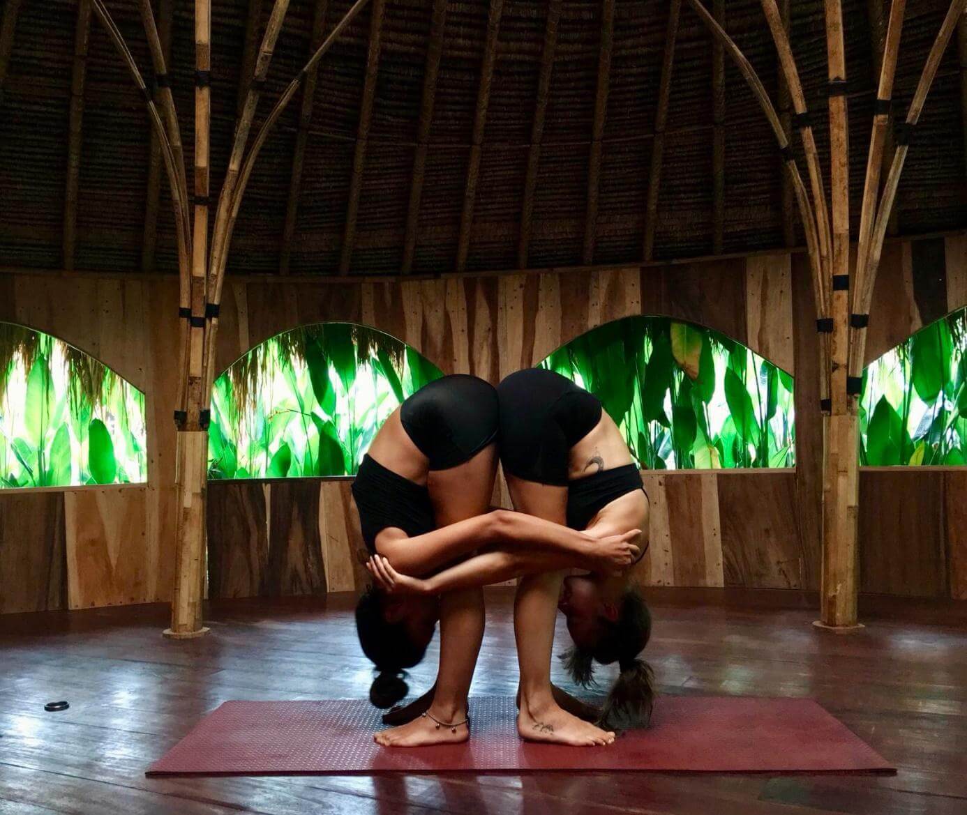 Uttanasana Or Partner Forward Bend