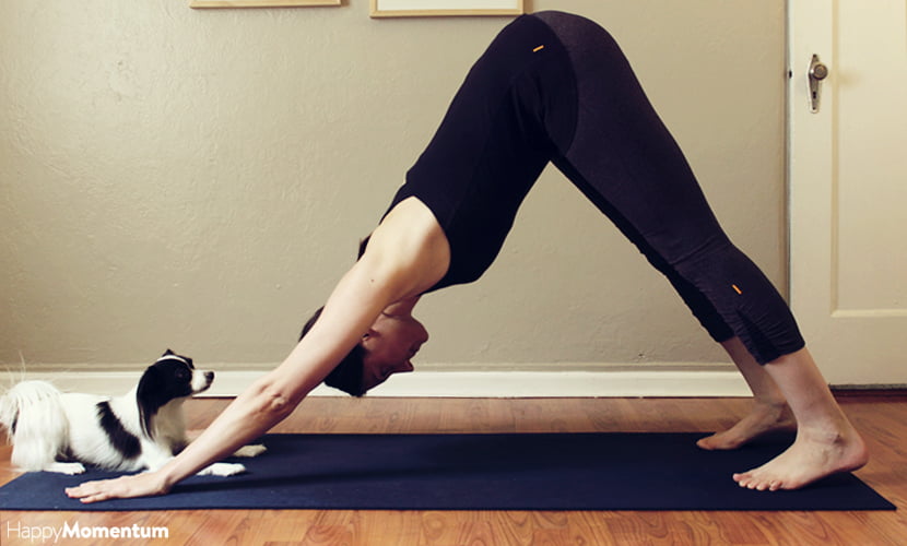 Adho Mukha Svanasana Or Downward Facing Dog