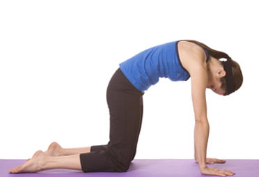 Marjaryasana or Cat Pose