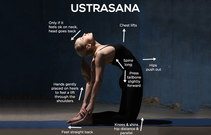 Step By Step Instructions To Do Ustrasana