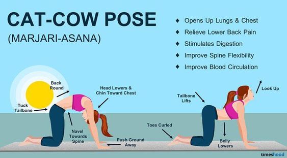 Benefits of The Cat Pose