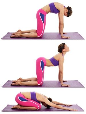 Precautions Of The Marjariasana