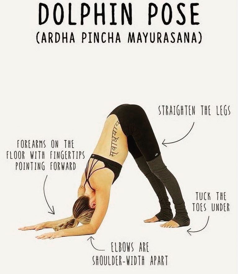 Ardha Pincha Mayurasana | Dolphin Pose - 101YogaStudio