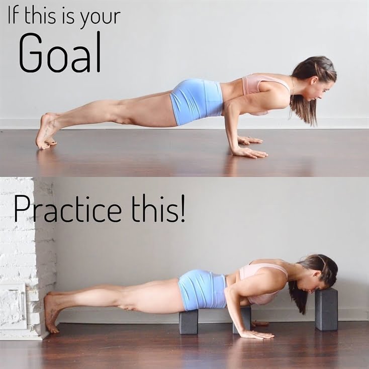 Chaturanga Dandasana or Four-Limbed Staff Pose/ Plank Pose