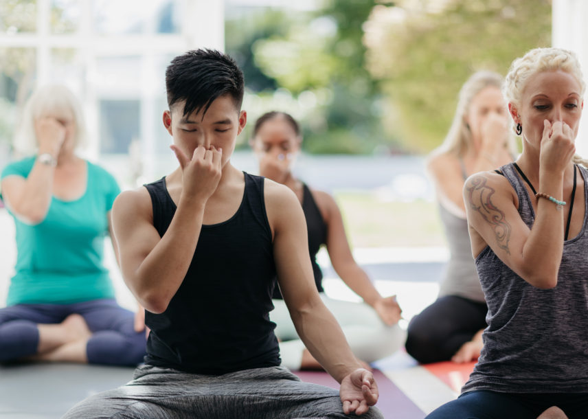 The Four Stages of Yoga and Pranayama