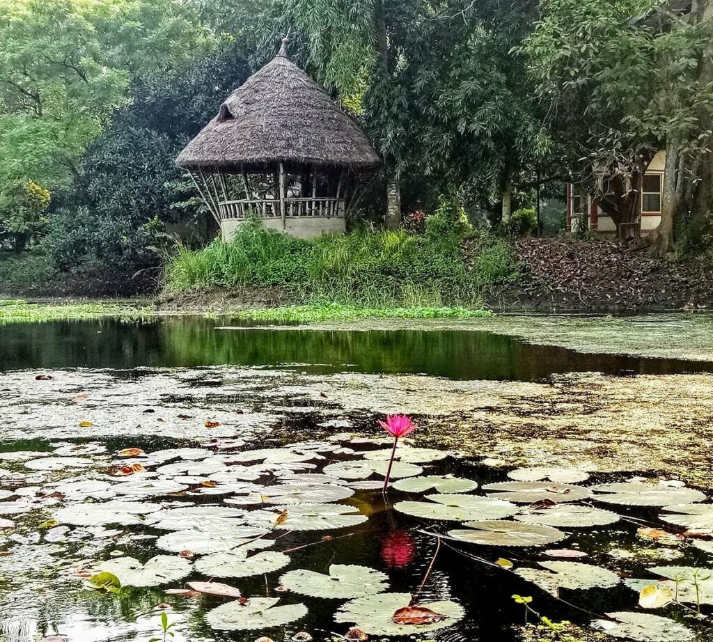 Jahnavi Kunja Eco Yoga Ashram