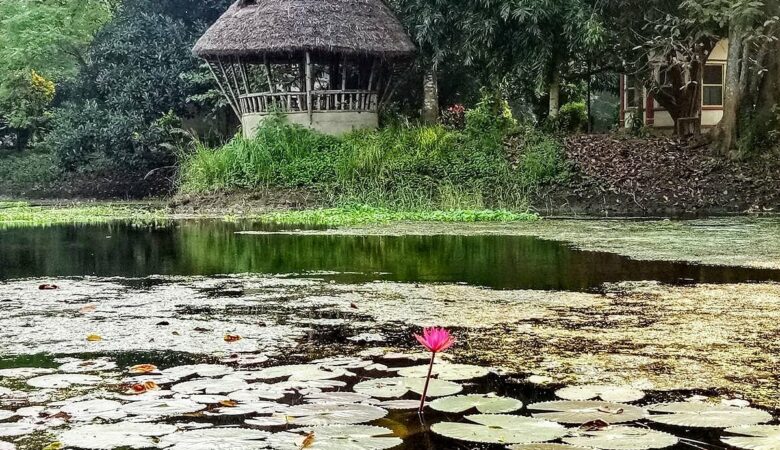 Jahnavi Kunja Eco Yoga Ashram